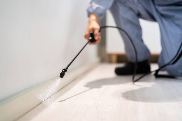 Licensed Mosquito Control service in Wichita Falls, TX - Show Me Pest Control