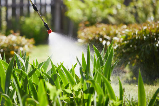 24/7 Emergency Mosquito Control experts in Wichita Falls, TX