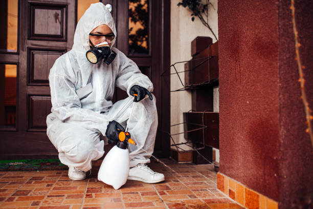 Reliable Mosquito Control contractor in Wichita Falls, TX by Show Me Pest Control