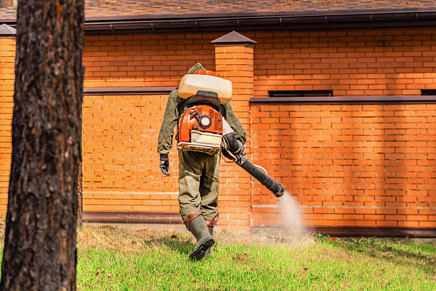 Top rated local Mosquito Control specialists in Wichita Falls, TX